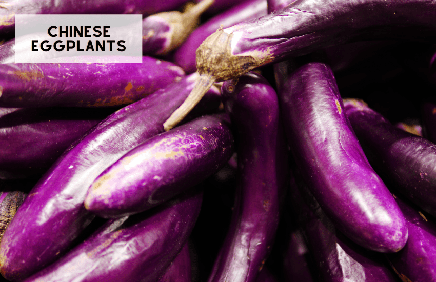 Different types of Eggplants (and Recipes!) • Oh Snap! Let's Eat!