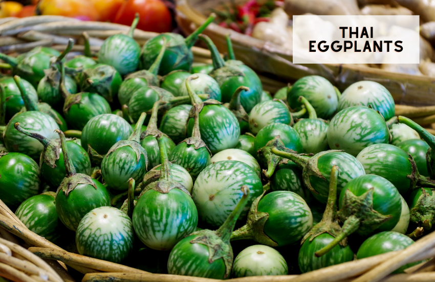 Different types of Eggplants (and Recipes!) • Oh Snap! Let's Eat!