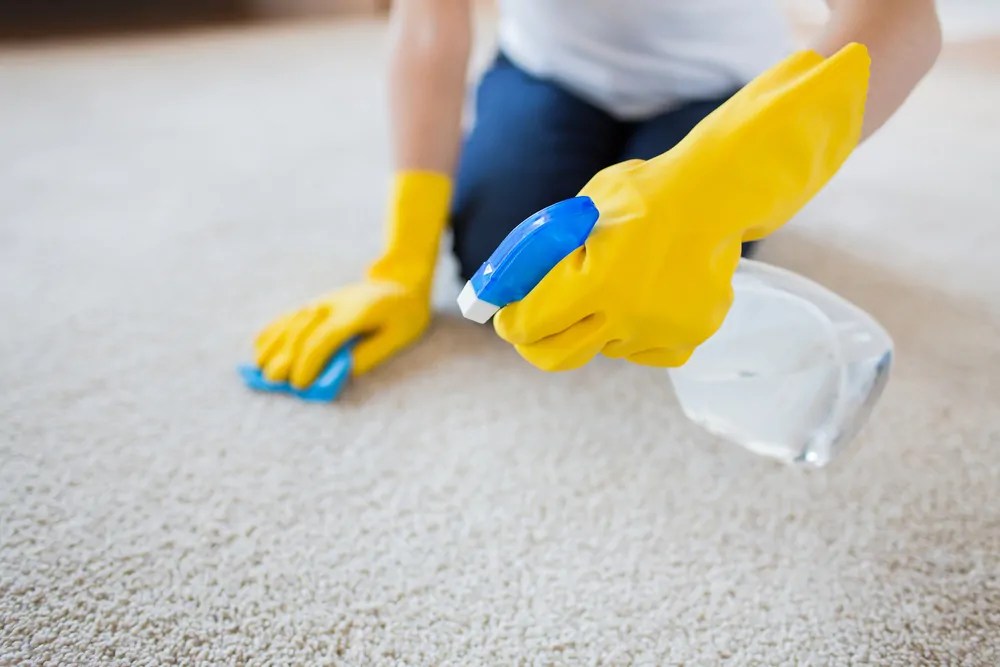 5 Ways to Clean Carpet Without a Vacuum Oh So Spotless