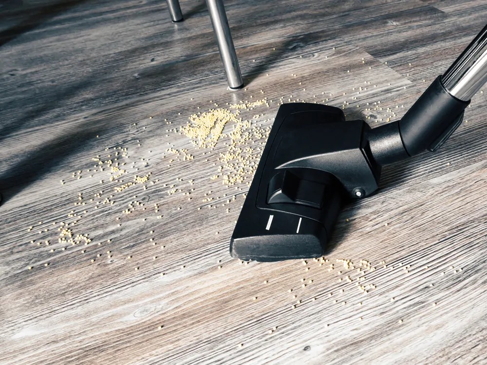 5 Best Vacuums for Cat Litter (2022 Picks) Oh So Spotless