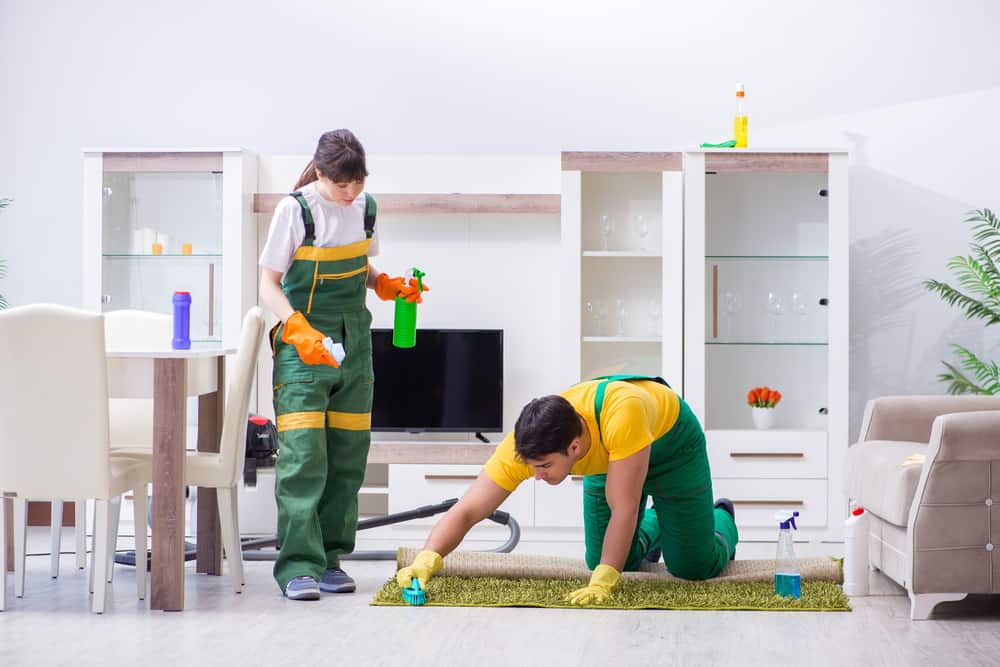 How Much Does Carpet Cleaning Cost 2024 Prices