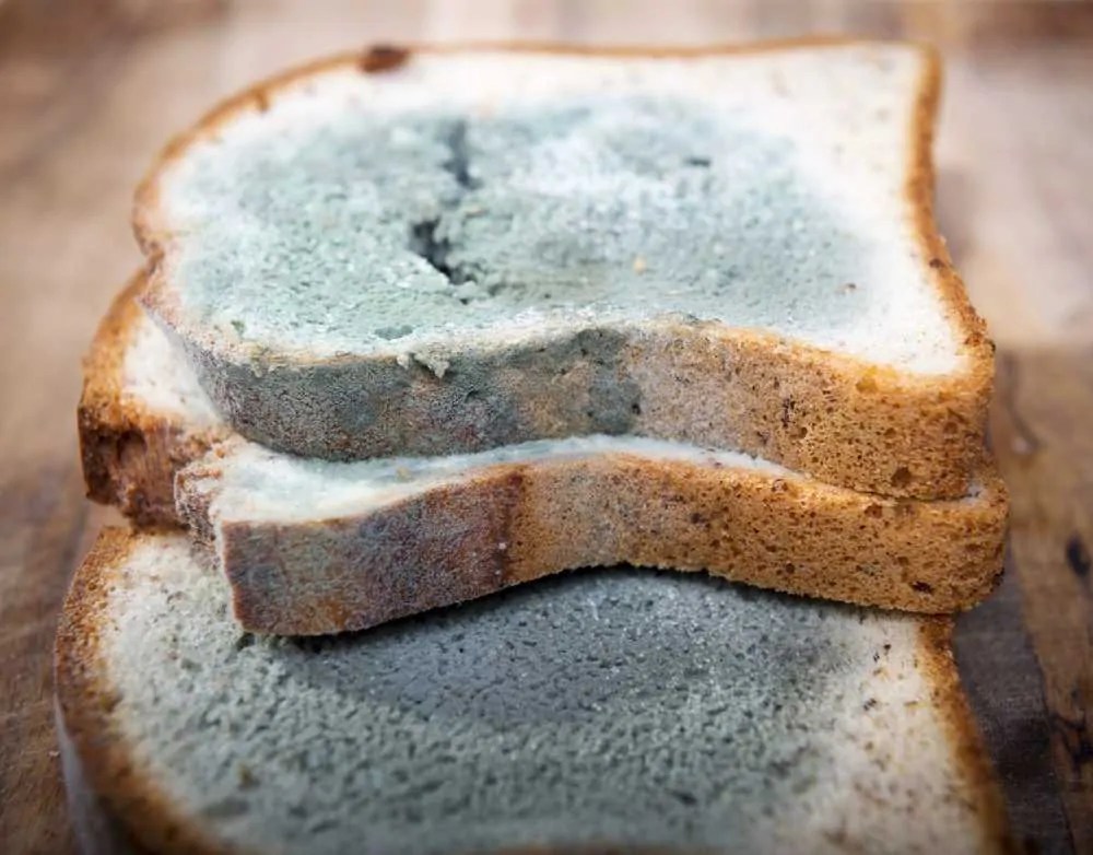 How to Remove Mold on Wood Furniture, Floor & Deck