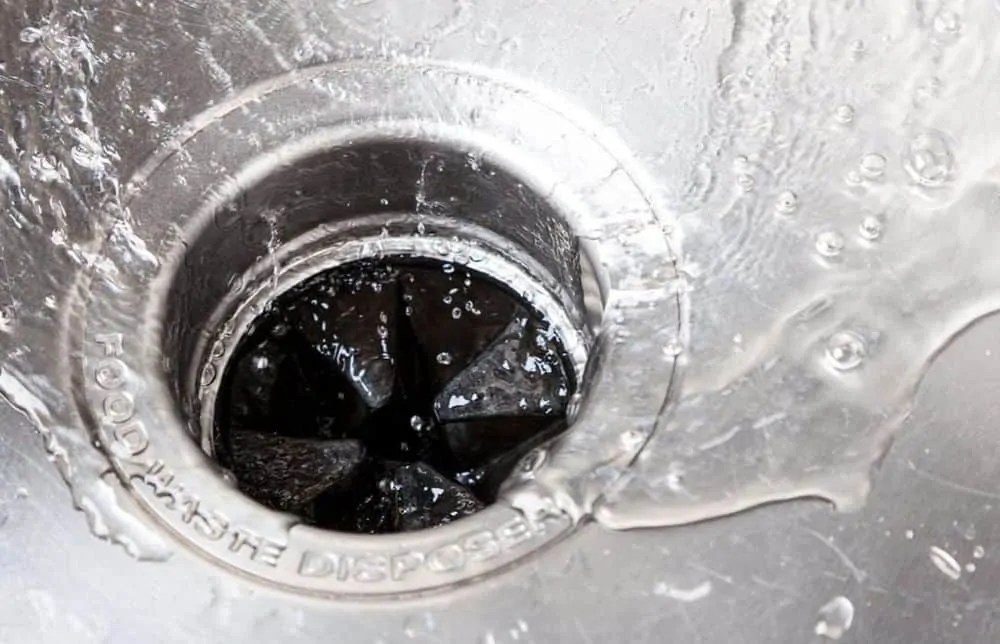 7 Best Garbage Disposal Cleaners (2022 Reviews) Oh So Spotless