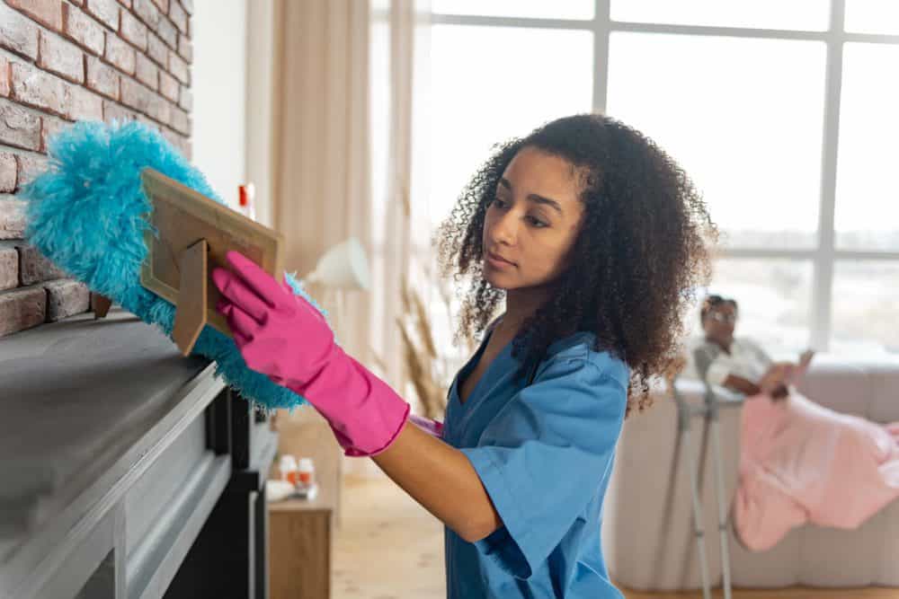 10 Best Dusting Tools for Any Job of 2024