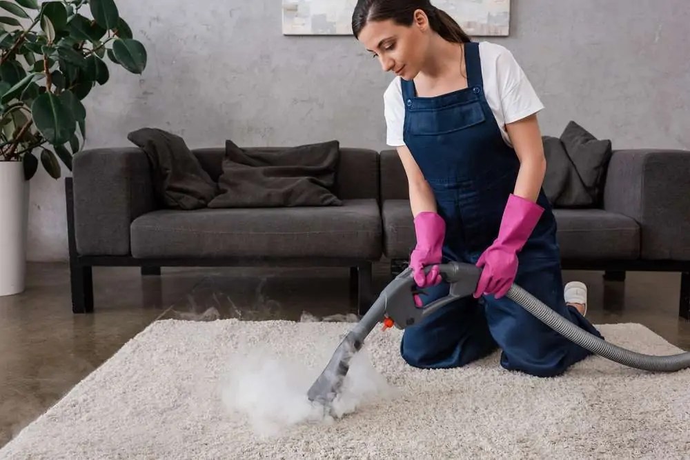 How to Clean a Wool Rug StepbyStep Guide