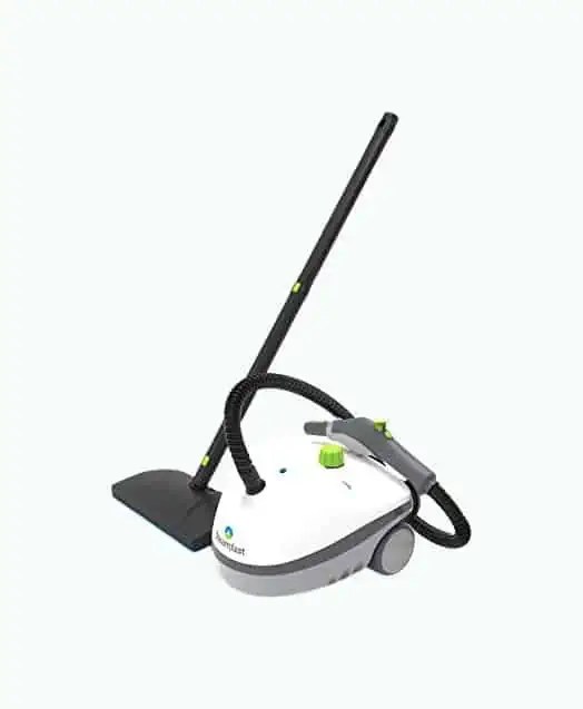 5 Best Steam Cleaners for Bed Bugs (2023 Review)