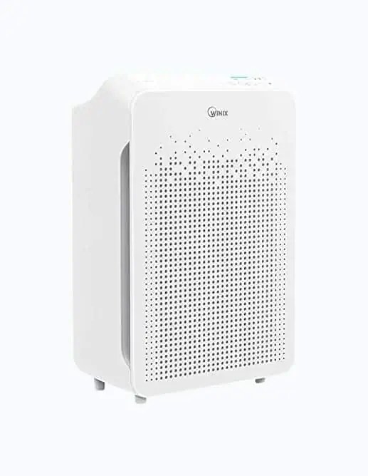 7 Best Air Purifiers for Pets of 2024