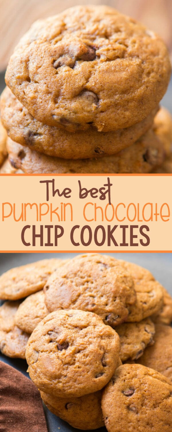 The BEST Pumpkin Chocolate Chip Cookies Oh Sweet Basil