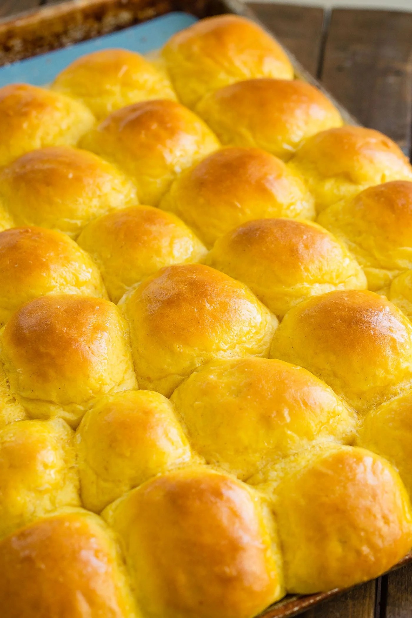 The Softest Pumpkin Rolls Dinner Roll Recipe Oh Sweet Basil