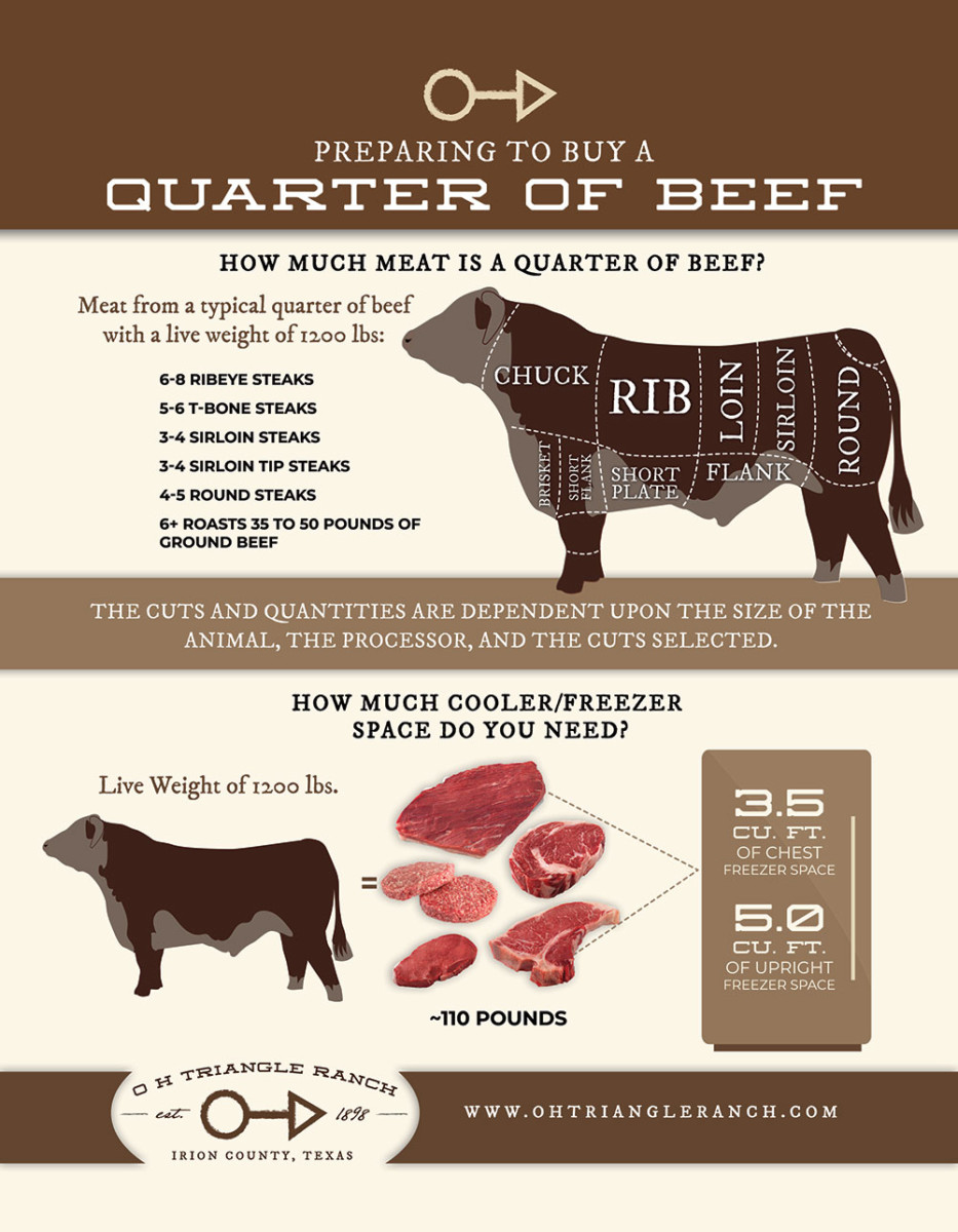 Butcher Steers O H Triangle Ranch