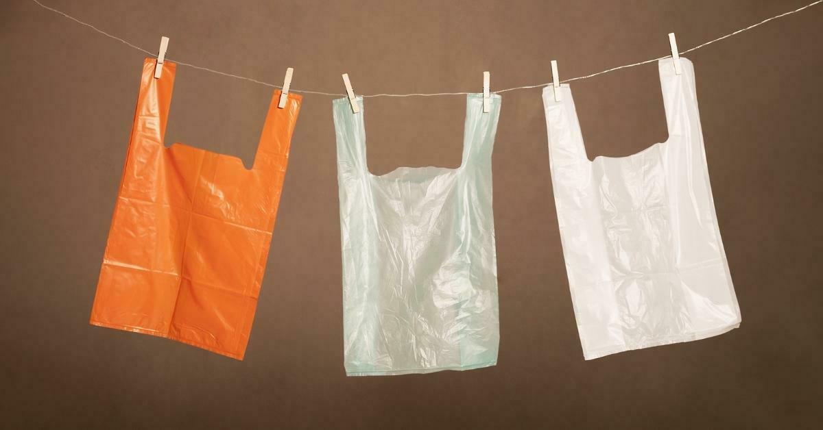 Cassava Bags Can a Root Vegetable Really Help Save the Earth?