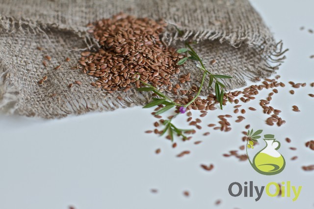 Flaxseeds vs Flaxseed Oil