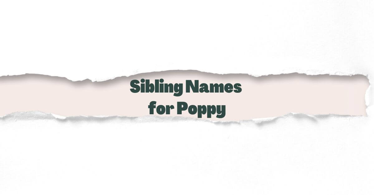 Sibling Names for Poppy More than 790 ideas