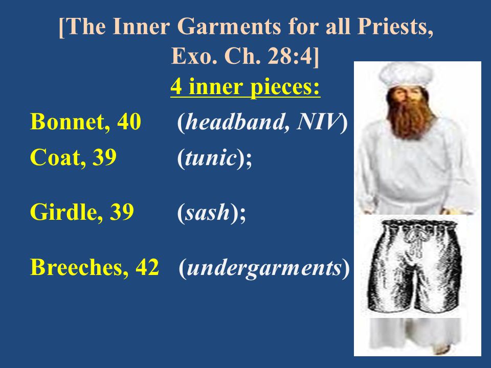 Tetzaveh Purim 2021 The Underwear of the Priests The Oisvorfer Ruv