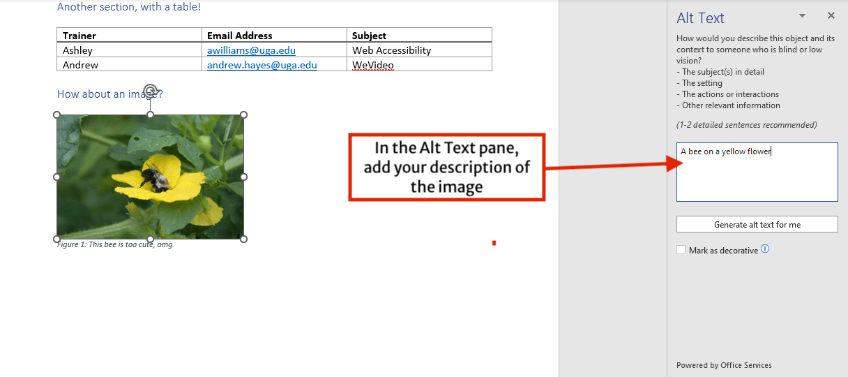 PDF Accessibility Part 2 Source Documents CAES Office of Information