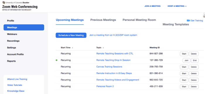 How to Add Co-Host in Zoom Meeting [Easy Guide 2024]