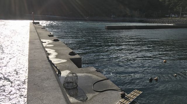 日見港（津久見市） 大分県の釣り場情報