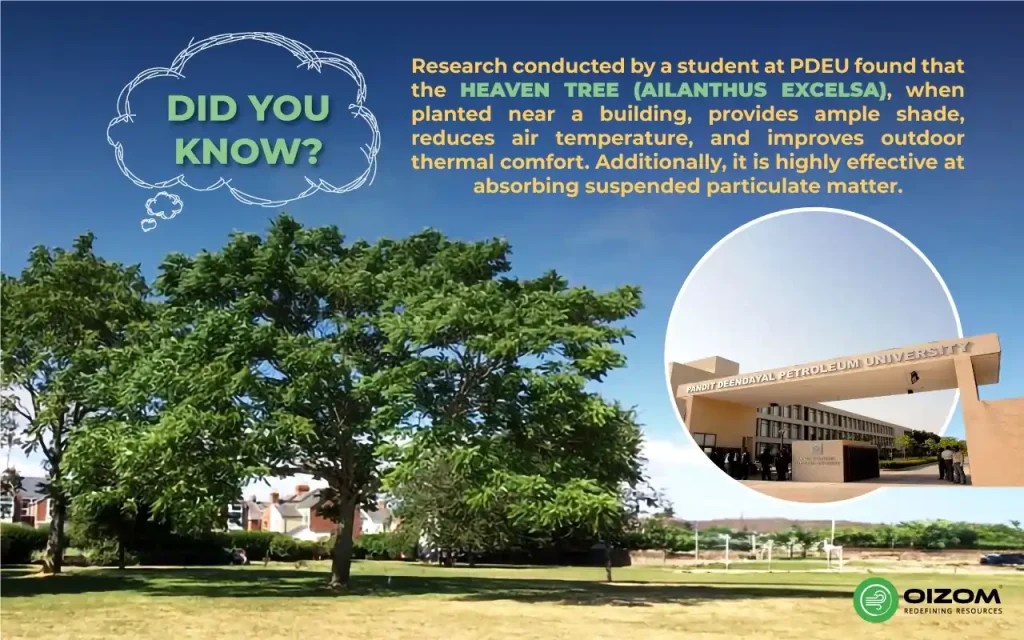 How do trees reduce air pollution? The role of Green spaces in air