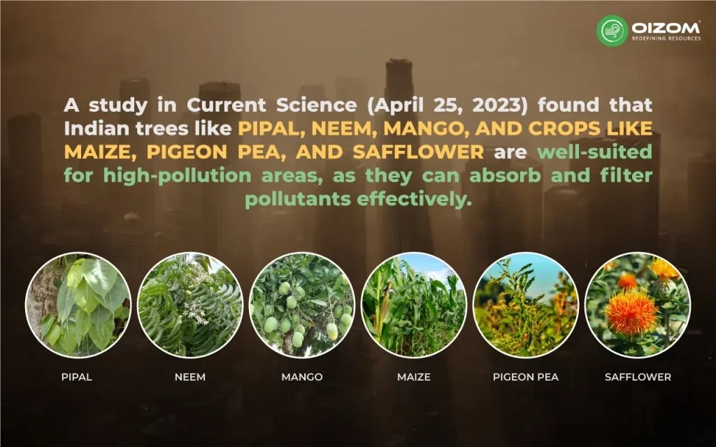 How do trees reduce air pollution? The role of Green spaces in air