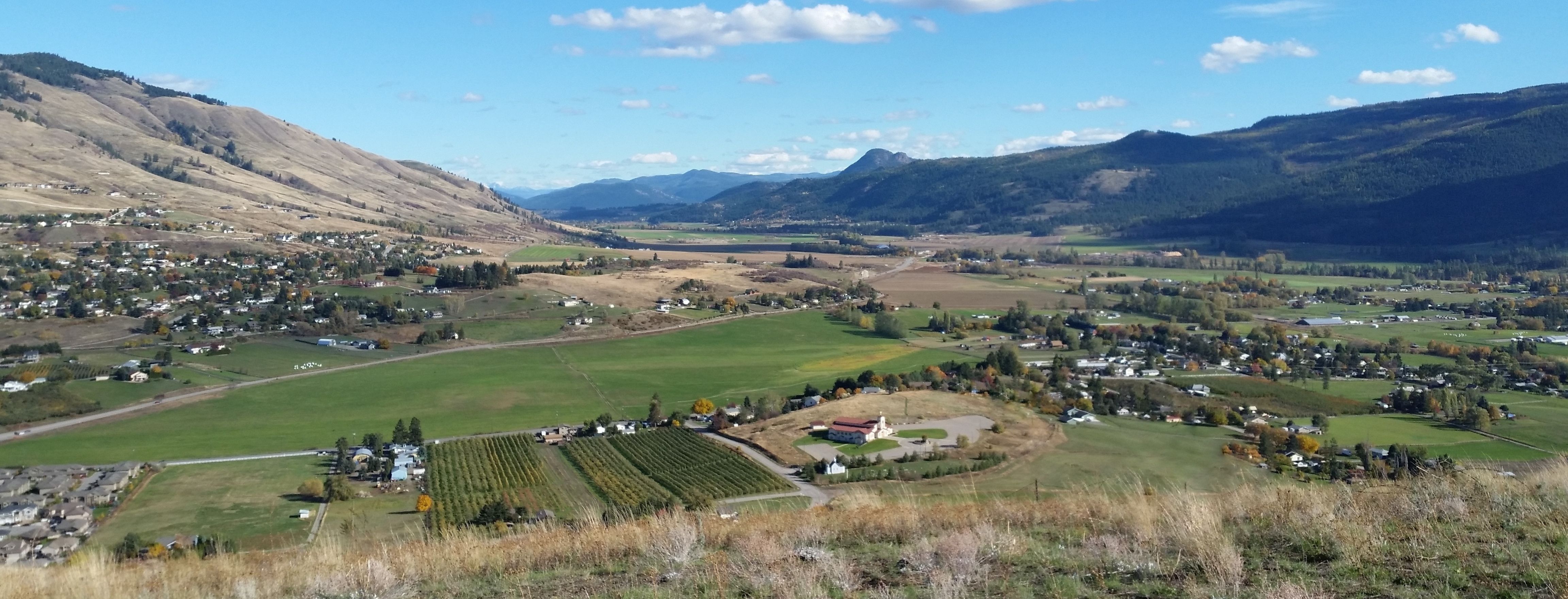 Coldstream Real Estate RE/MAX Priscilla