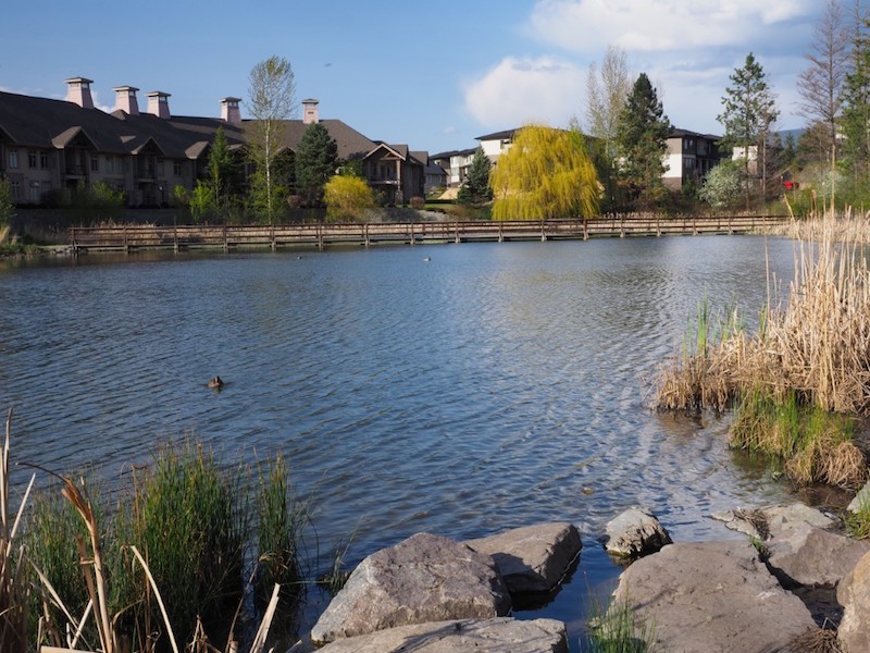 ‘Walk Around Lake Country’ improves trails, signage, maps Okanagan