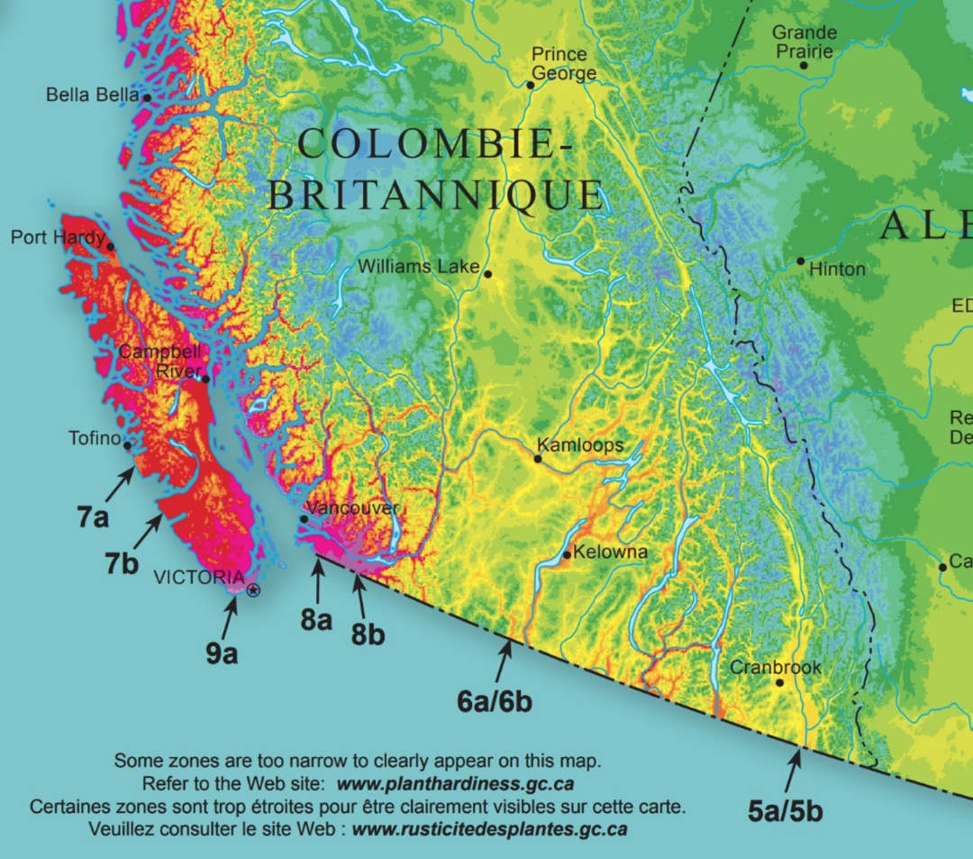 Plant Hardiness Zones for the Okanagan Okanagan Xeriscape Association