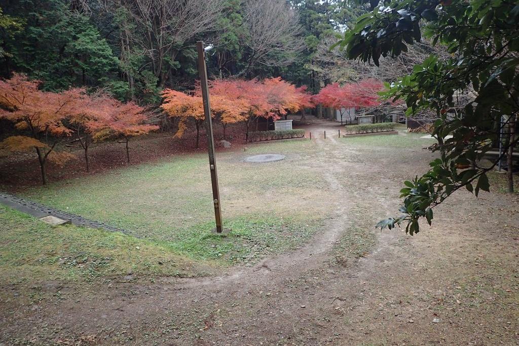 桑谷キャンプ場｜岡崎の観光スポット｜岡崎おでかけナビ 岡崎市観光協会公式サイト