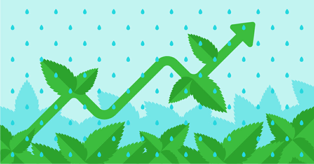 Growth Marketing From Zero To 1 Million Users