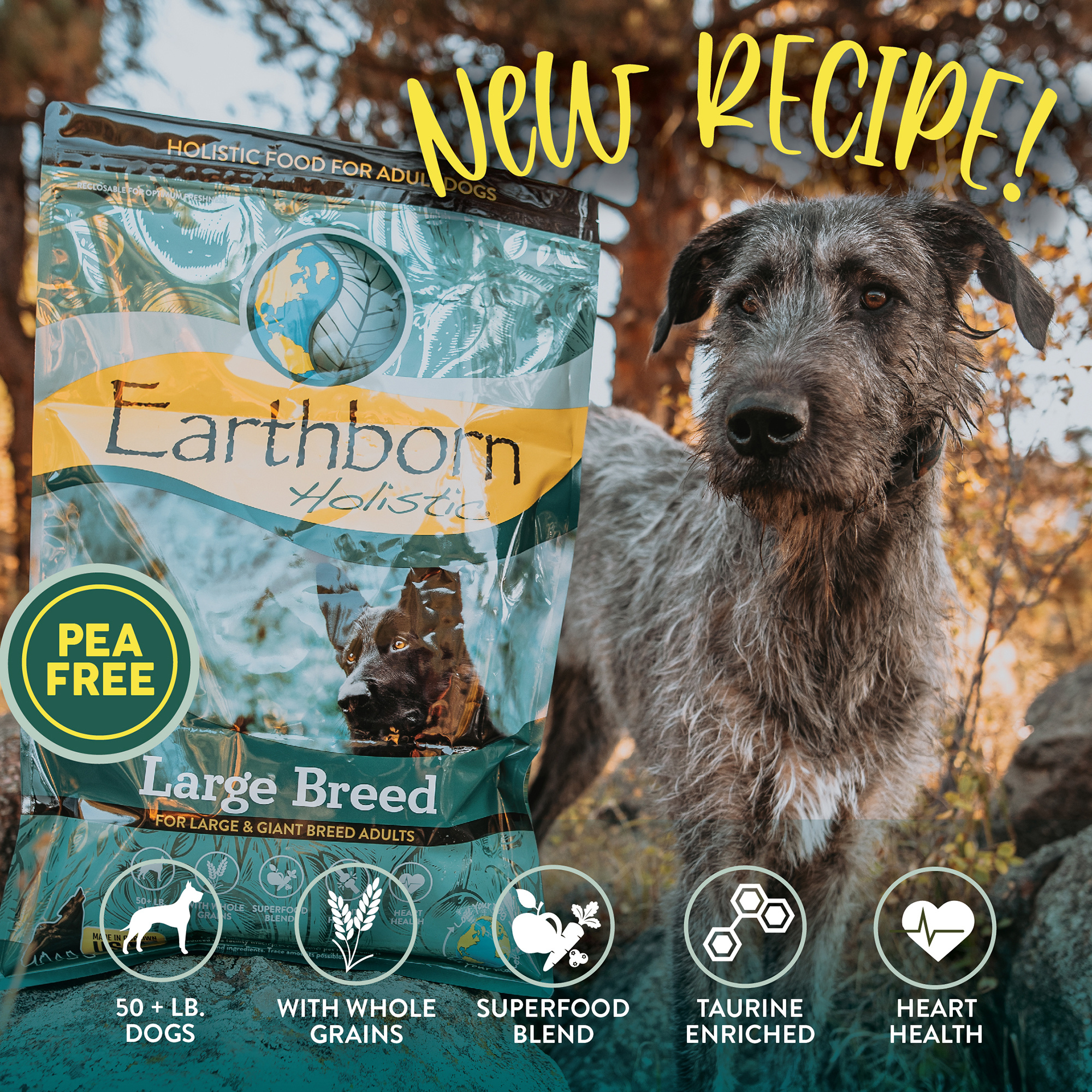 Earthborn Holistic Large Breed Dry Dog Food OK Feed & Pet Supply