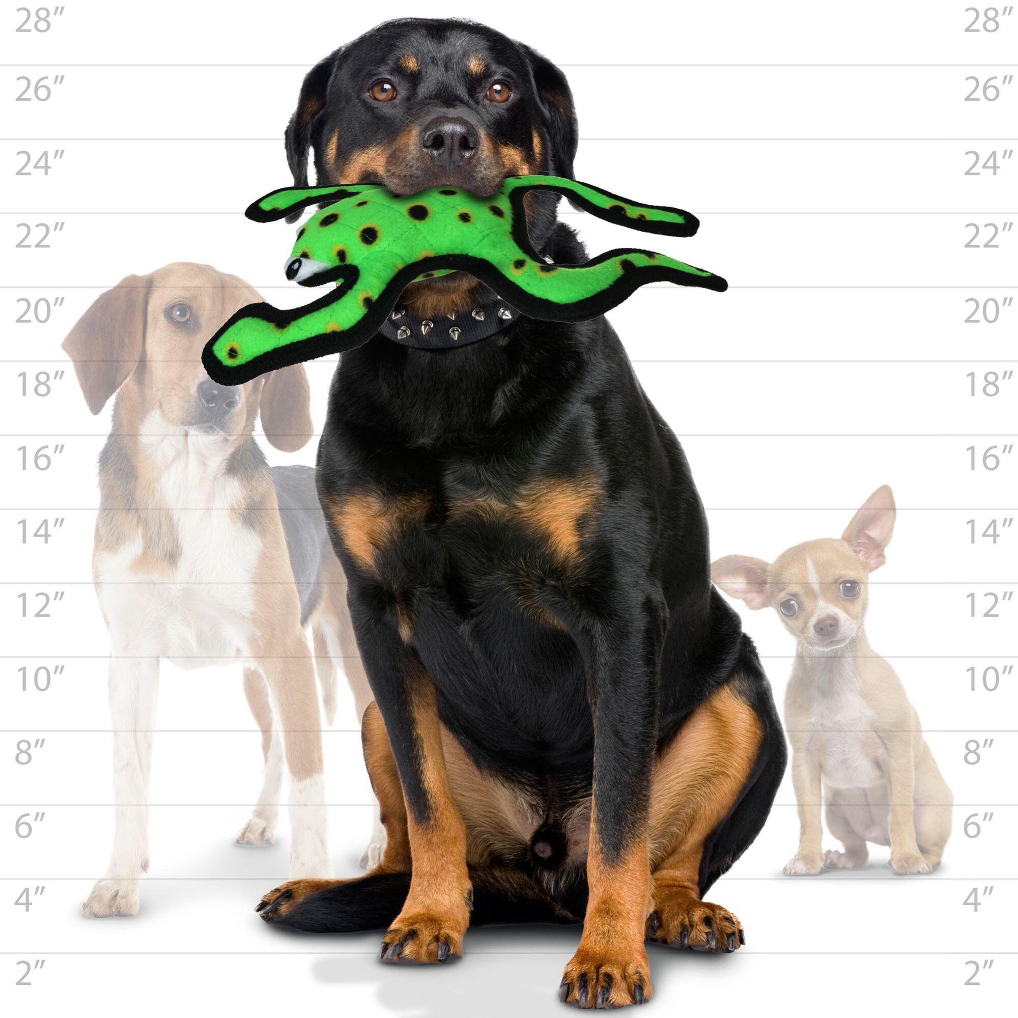 VIP Tuffy Desert Series Dog Toys OK Feed & Pet Supply