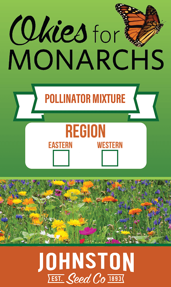 Rodkey House Stephenson Park