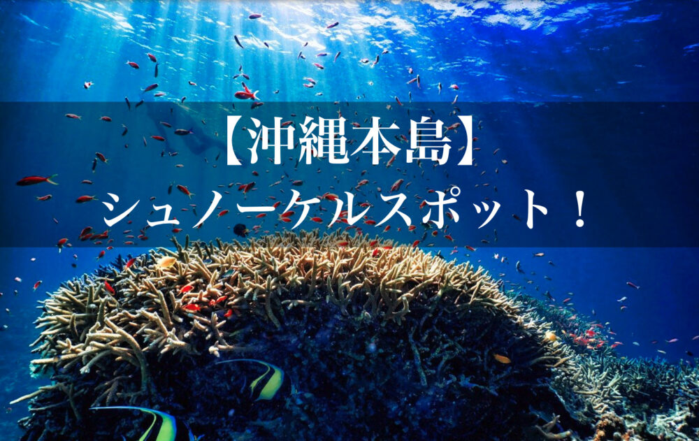 【沖縄本島】シュノーケルおすすめスポットを紹介！穴場ビーチもあり【初心者でも楽しめる】 沖縄ブックマーク Okinawa Bookmark