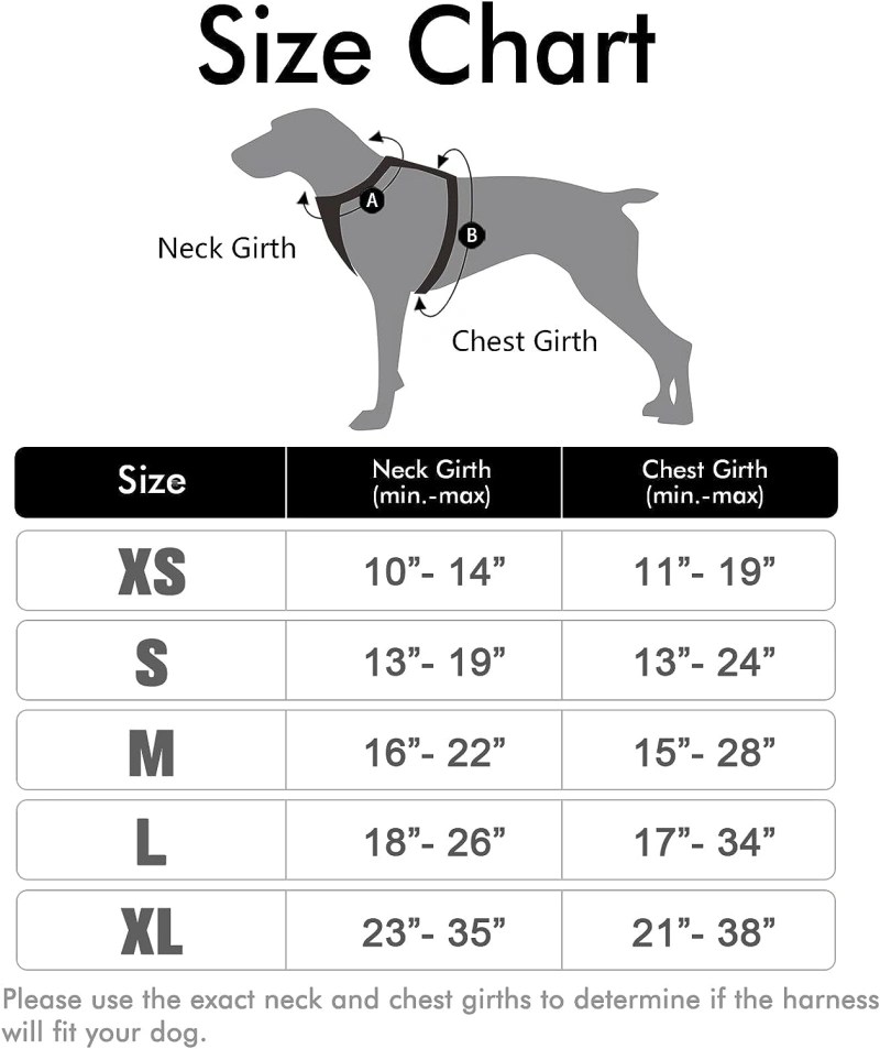 How a Dog Harness Should Fit Crafting Quality Pet Collars & Harnesses