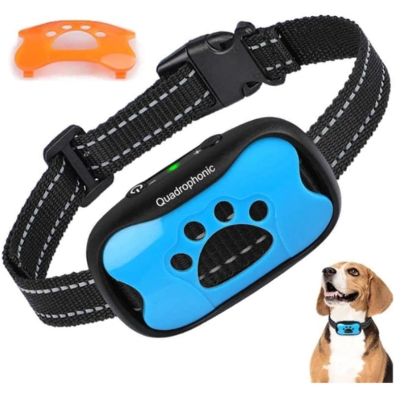What are Shock Collars? Crafting Quality Pet Collars & Harnesses