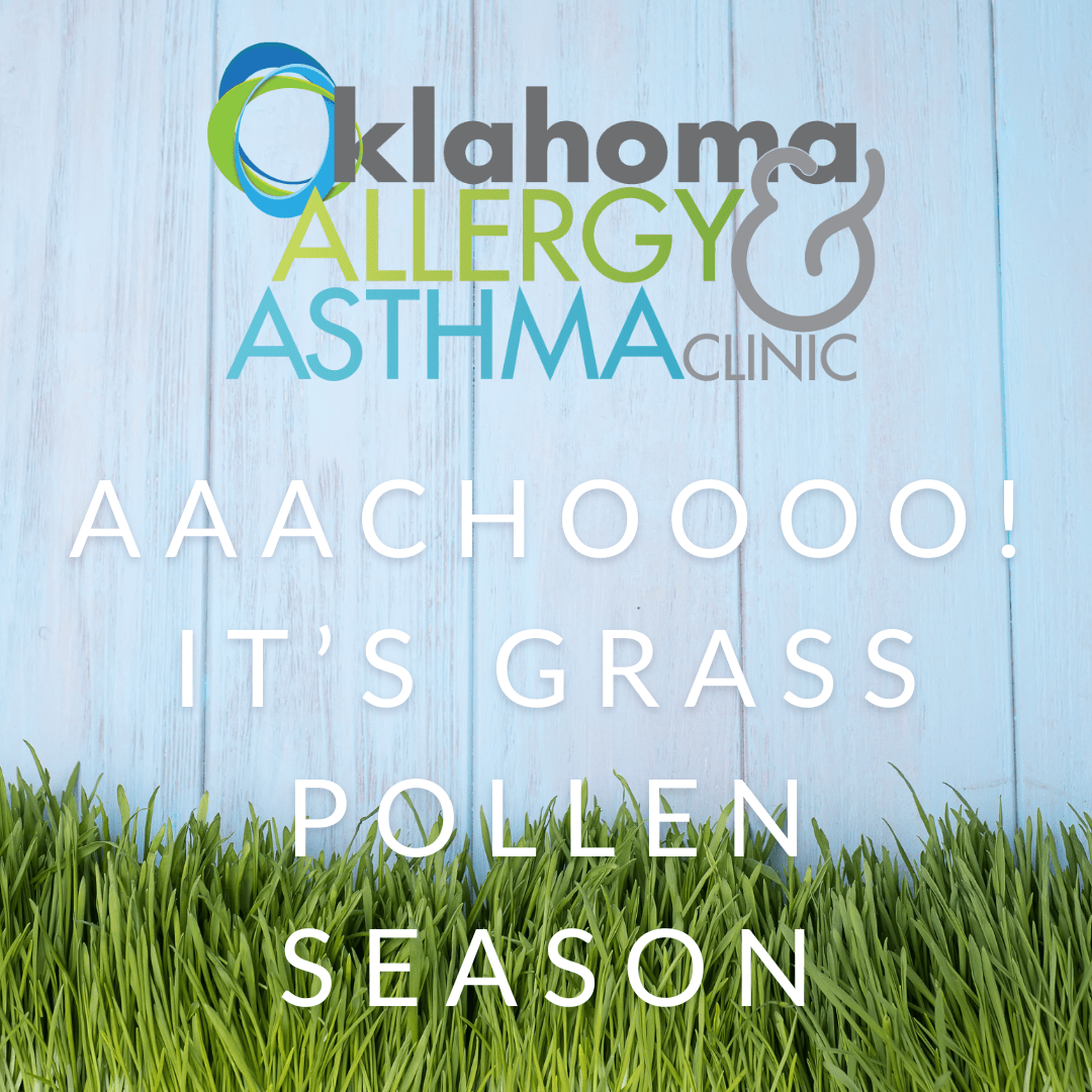 Grass Pollen Allergy Oklahoma Allergy and Asthma Clinic