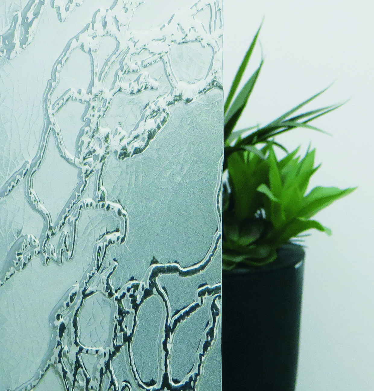 Glass panels Oknoplast