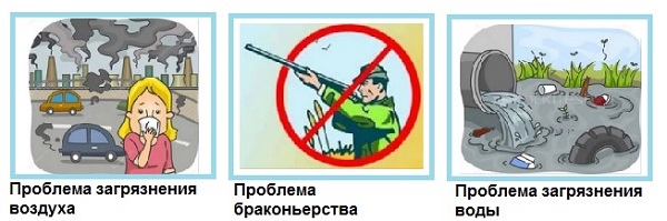 Окружающий мир 4 класс Мир глазами эколога