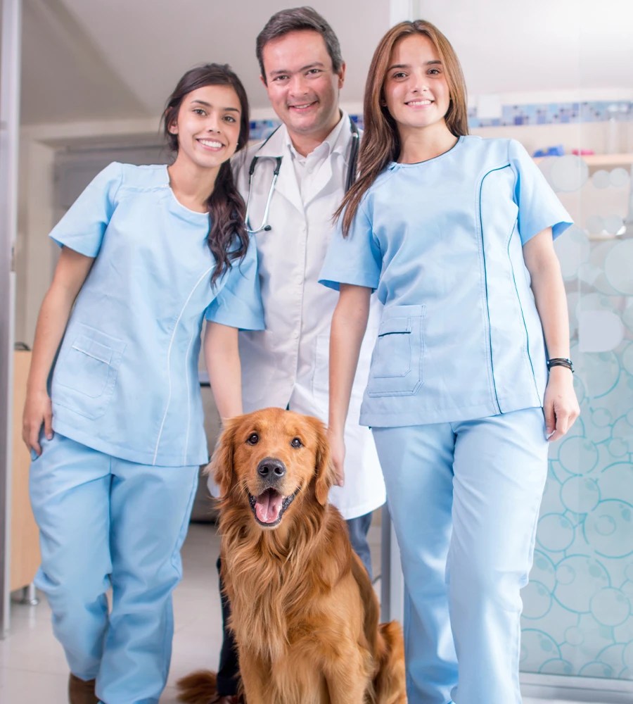 Veterinary Assistants Program OKVMA
