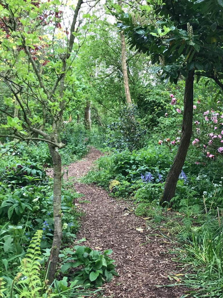 Old Manor Farm Campsite