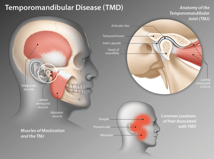 TMJ / TMD Massage Sense