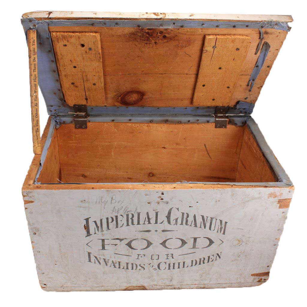 Sold Food for Invalids & Children Old as Adam