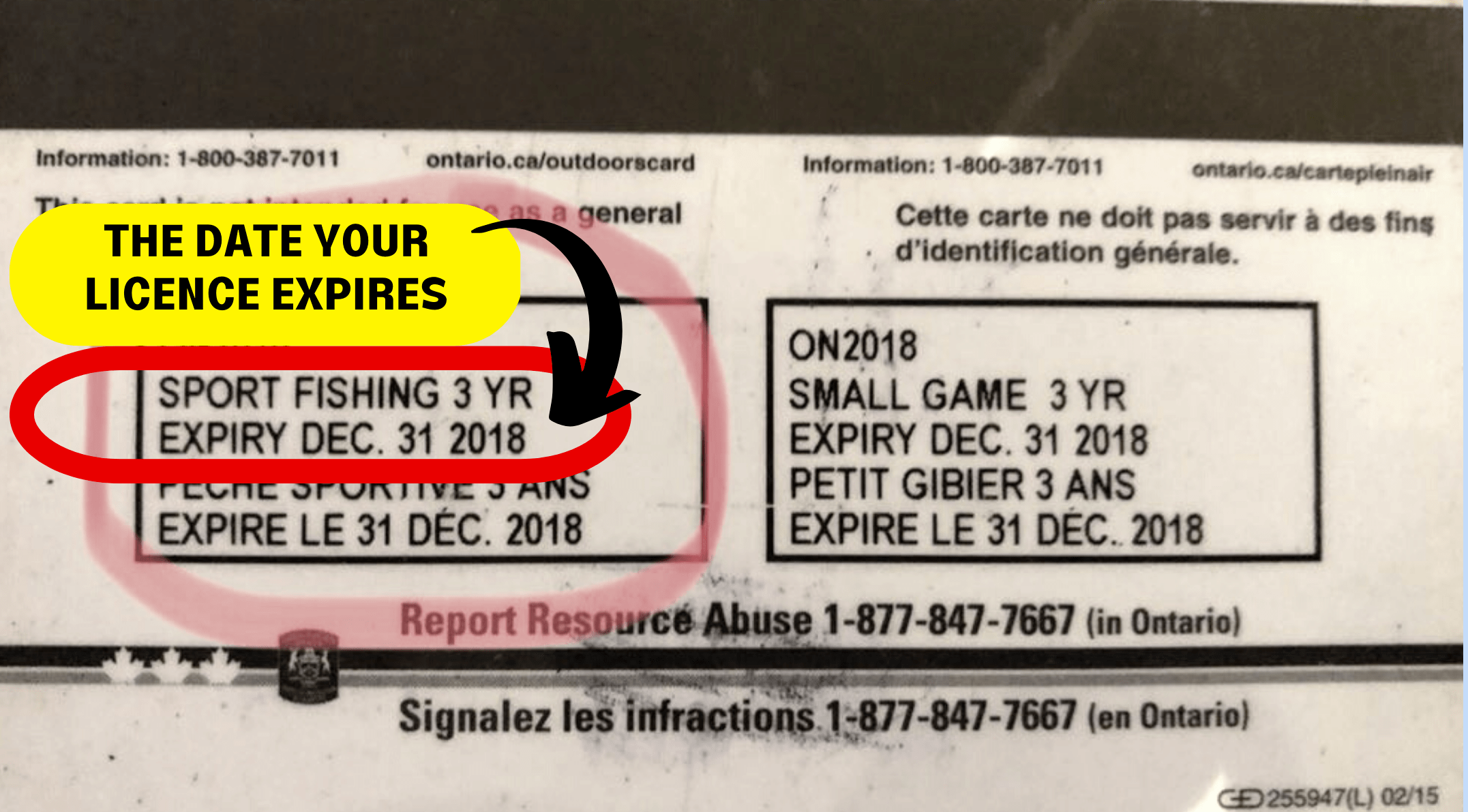 Don’t Get Caught With an Expired Fishing or Hunting Licence OLD CUT