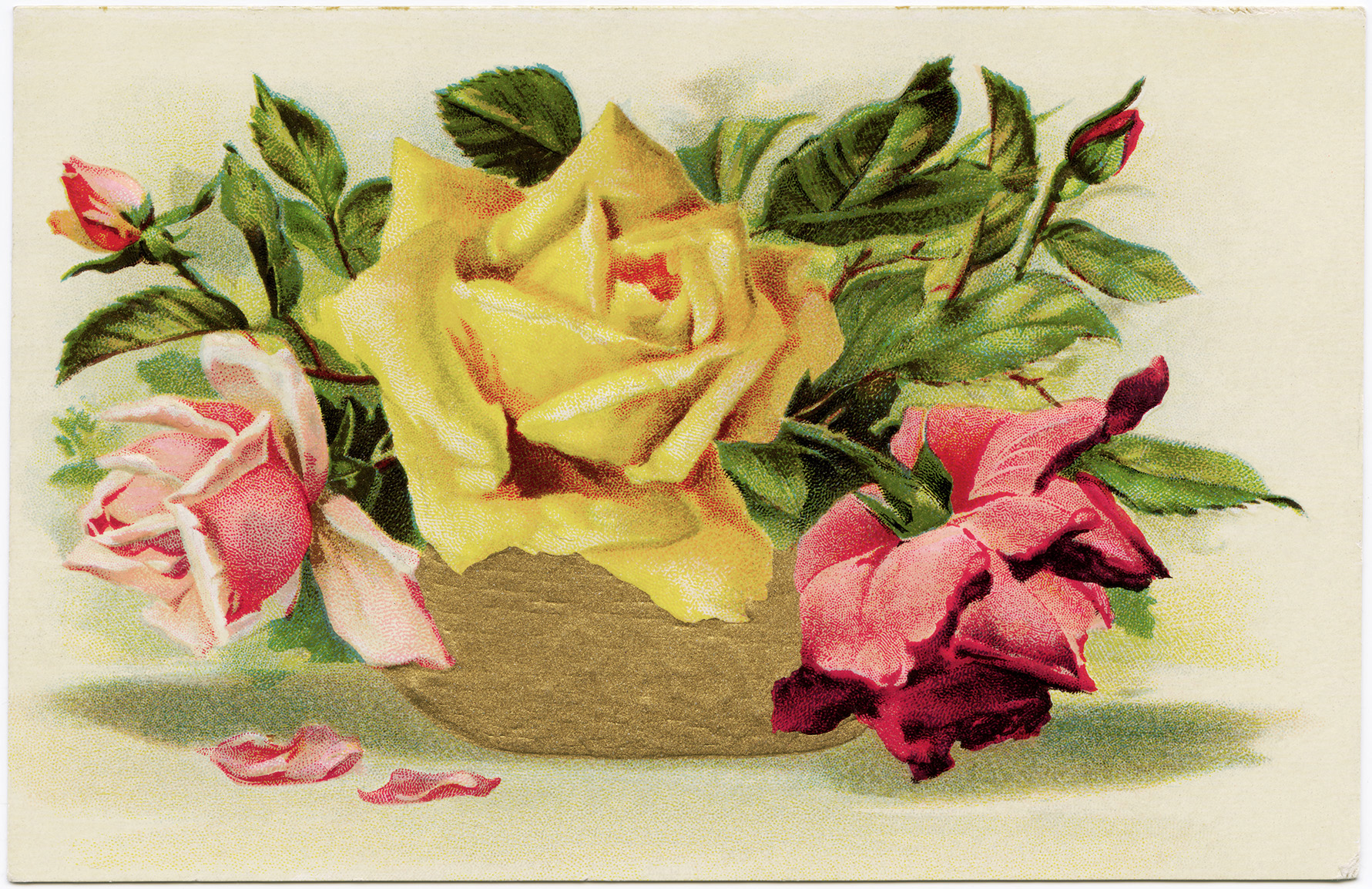 Free Vintage Image Roses Birthday Postcard The Old Design Shop