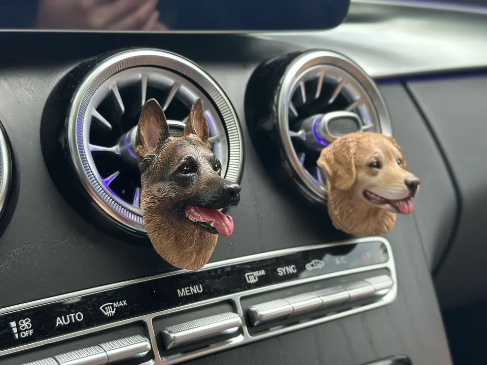 How To Help Old Dog Into Car Old Dog