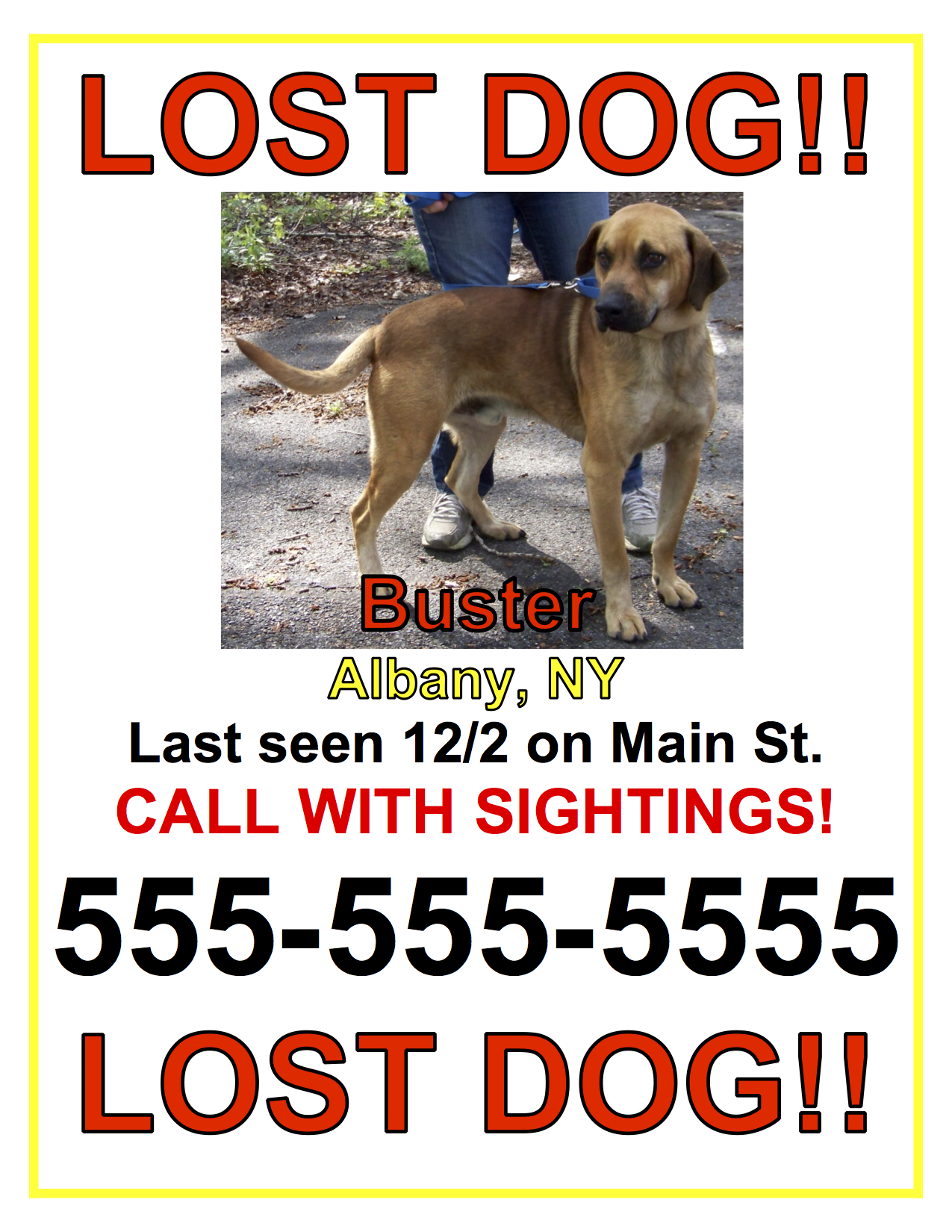 Lost Dog