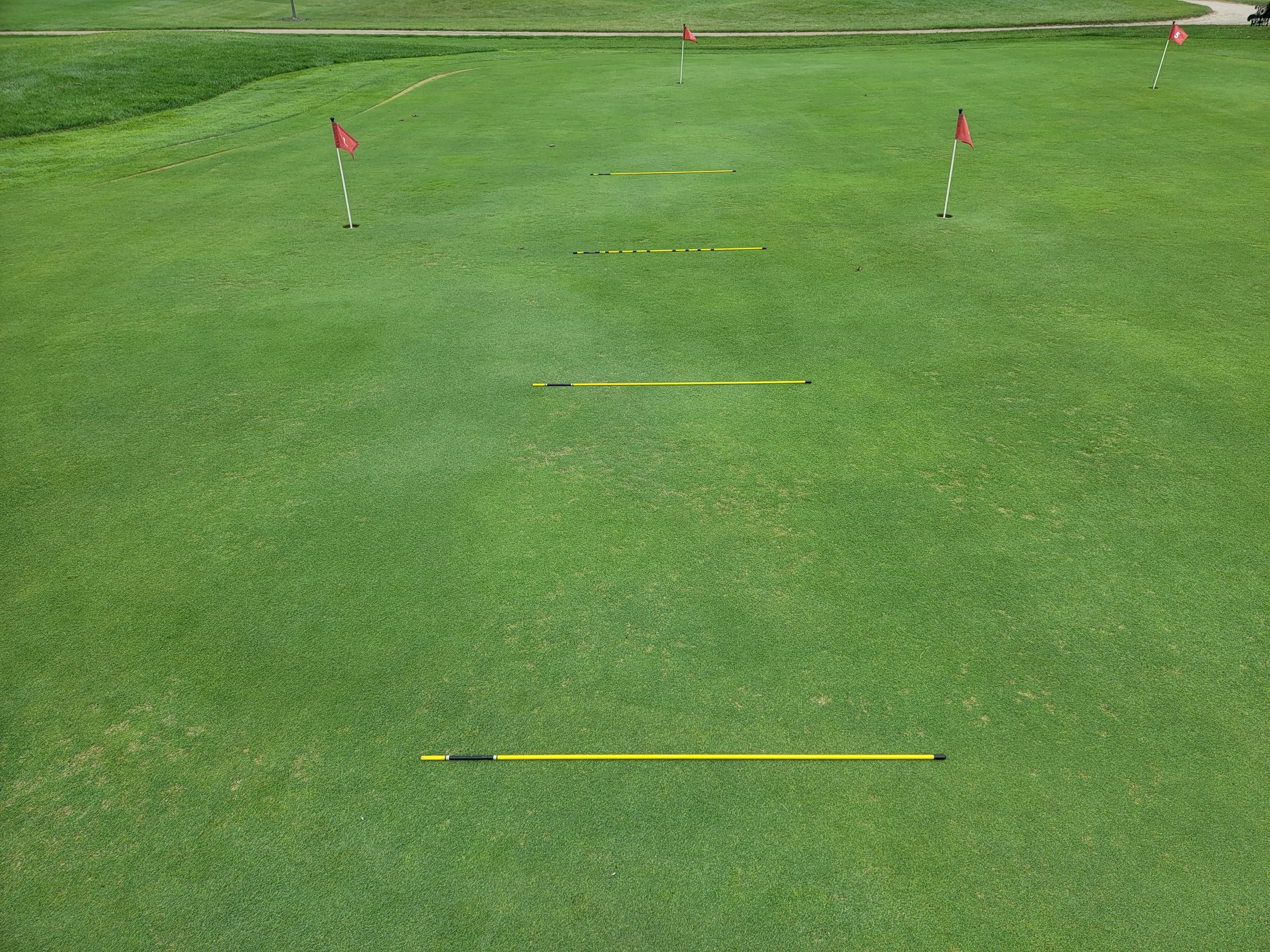 Chipping Practice and Targets Old Duffer Golf