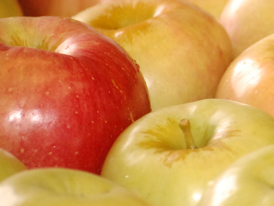 Apple Varieties Doll's Orchards, LLCDoll's Orchards, LLC