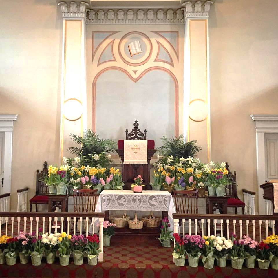 Easter Flower Order Form Old First United Church of Christ