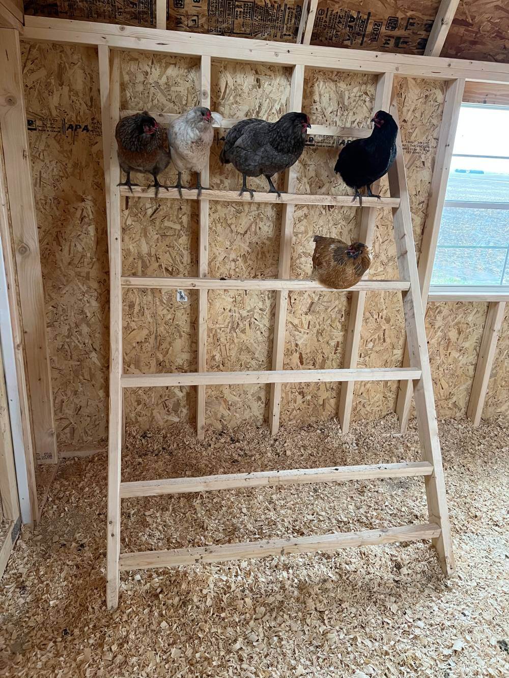 The Chicken Coop Old Hickory Buildings