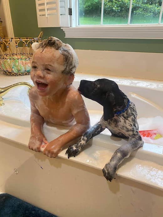 Reserve & Pay Old Hickory Kennels